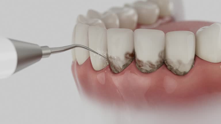 Reliable Dental contractor in Orting, WA by Dentist Open Now